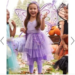 Pottery Barn Kids butterfly costune